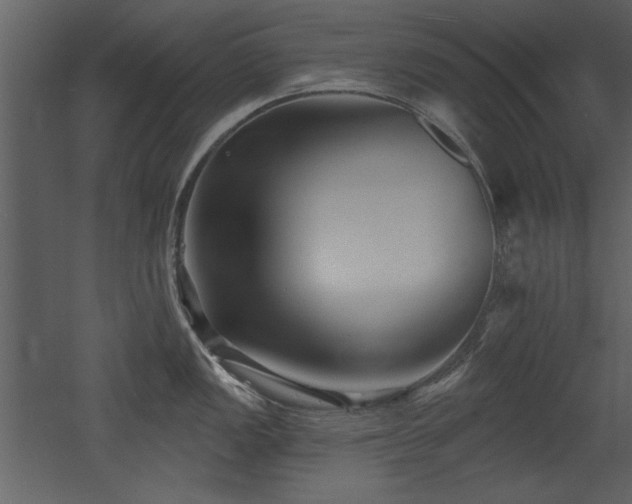 X0000052981149200507081116