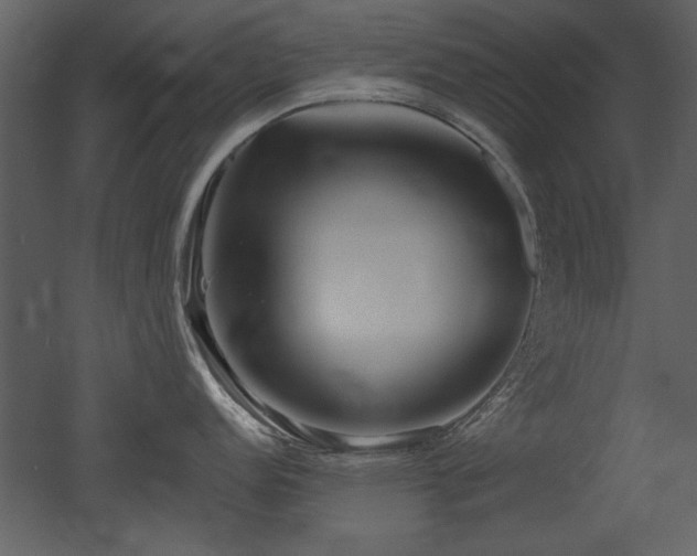 X0000052981152200507081116
