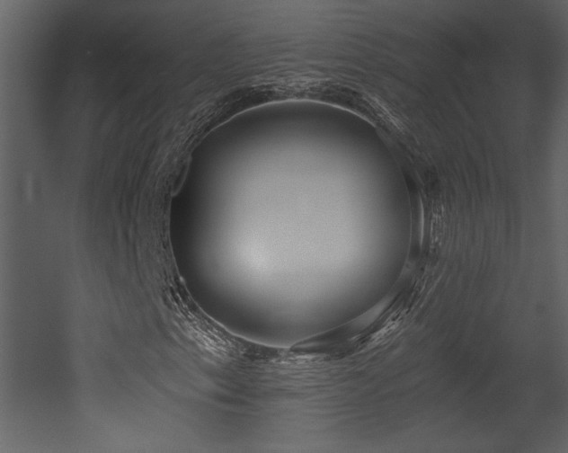 X0000052981153200507081115
