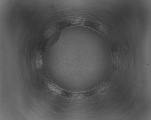 X0000052981154200507081115