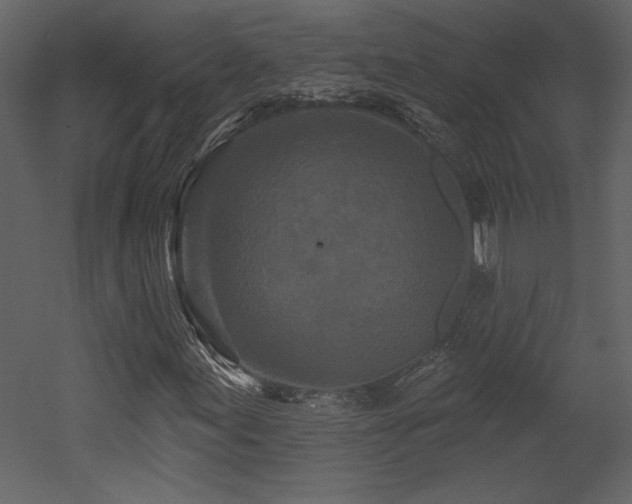 X0000052981155200507081115