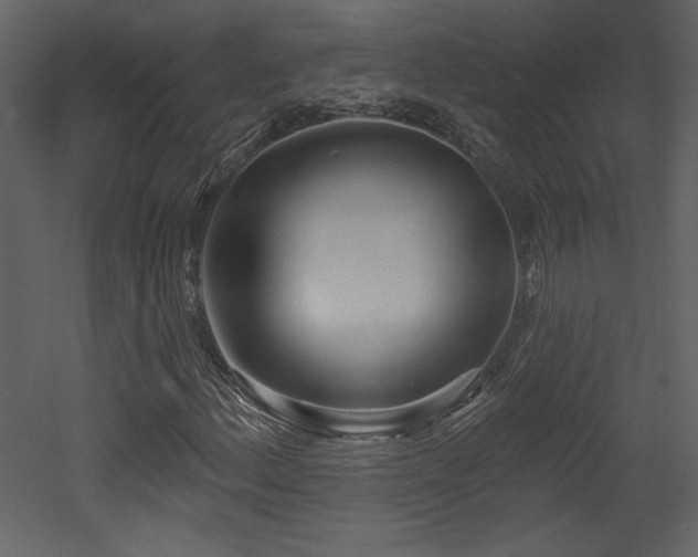 X0000052981156200507081115