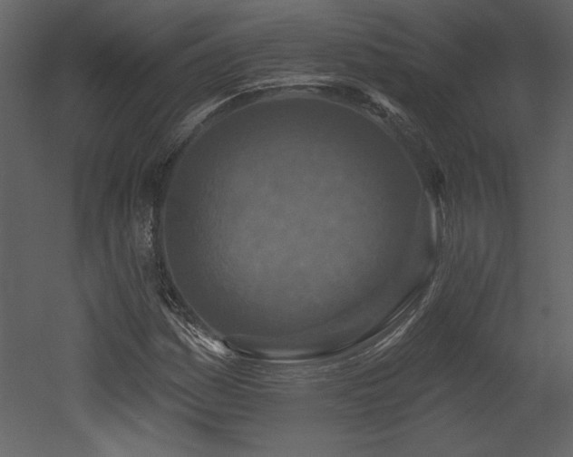 X0000052981161200507081115