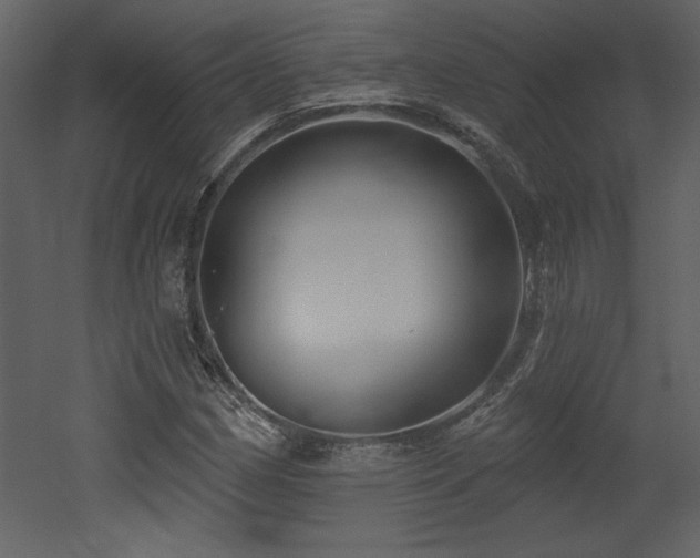 X0000052981162200507081115