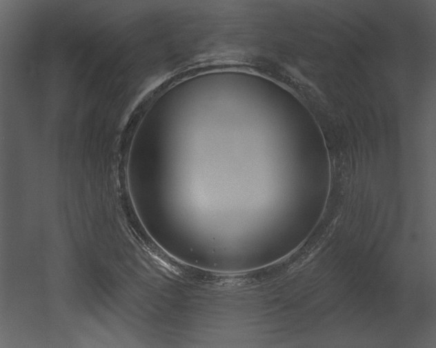 X0000052981166200507081115