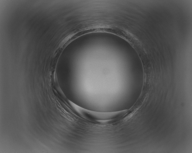 X0000052981169200507081115