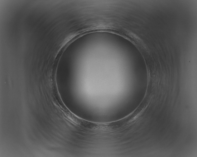 X0000052981170200507081115