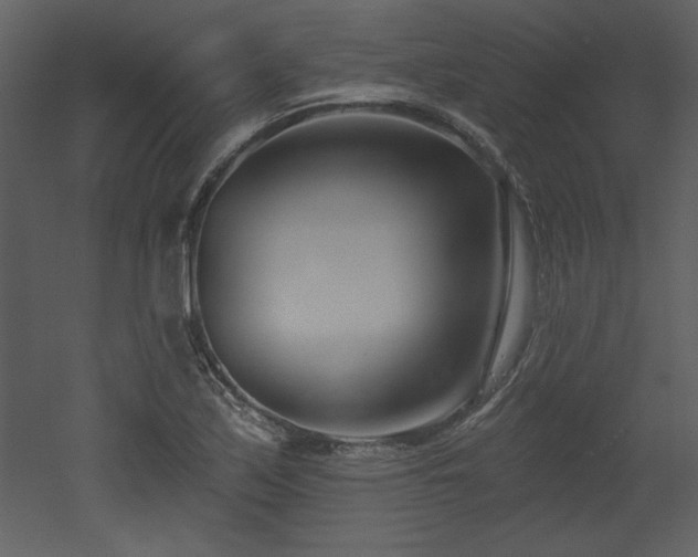 X0000052981171200507081115