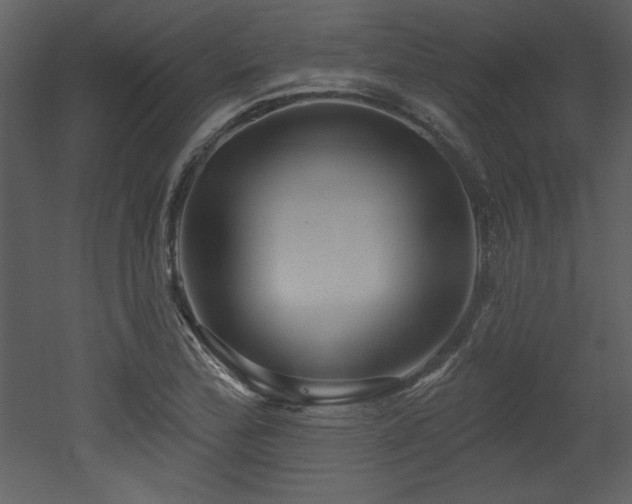 X0000052981172200507081115