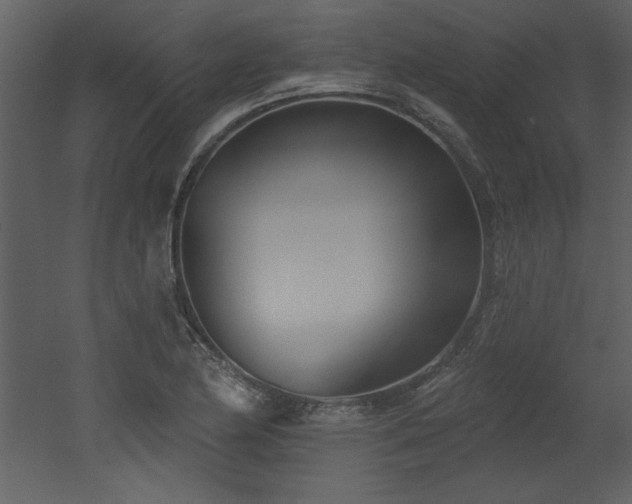 X0000052981174200507081115