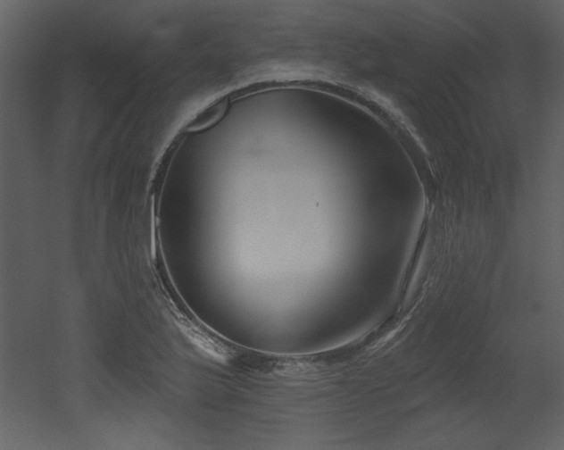 X0000052981175200507081115