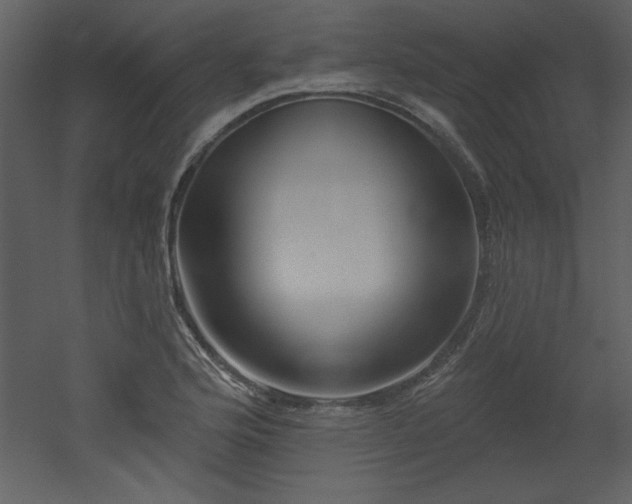 X0000052981176200507081115