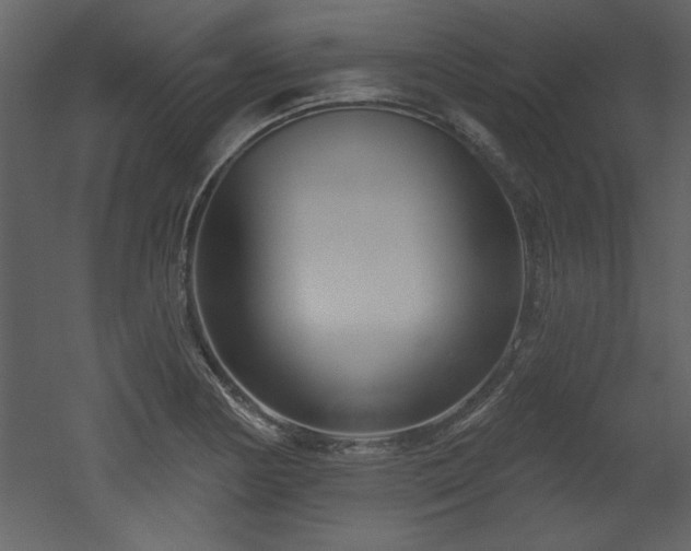 X0000052981178200507081115