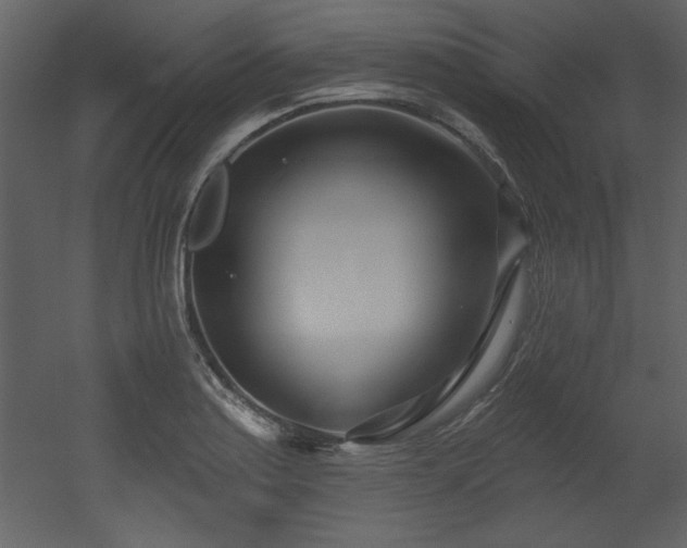 X0000052981179200507081115