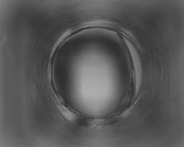 X0000052981180200507081115