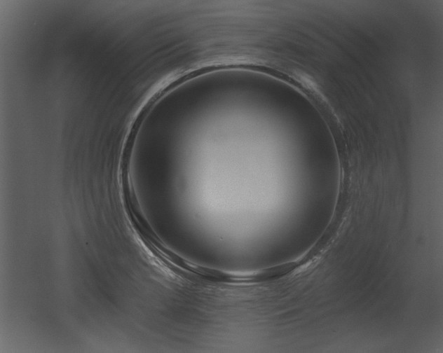 X0000052981181200507081115