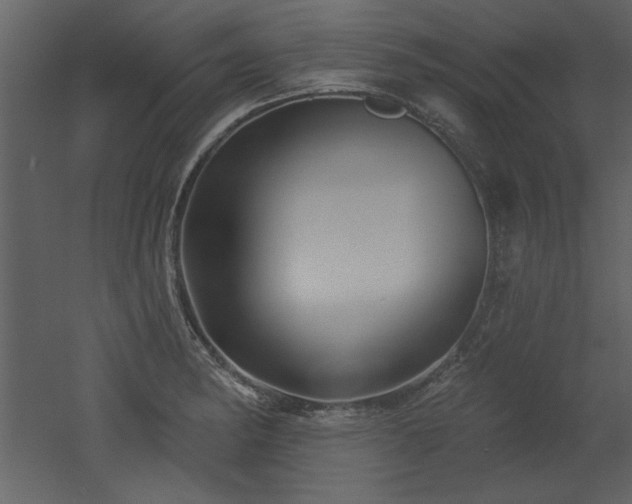 X0000052981182200507081115