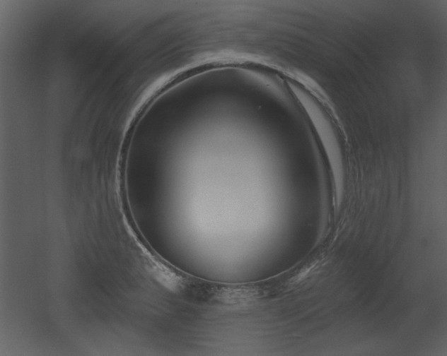 X0000052981183200507081115