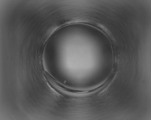 X0000052981185200507081115