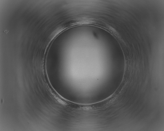 X0000052981186200507081115