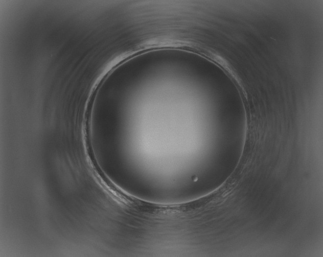 X0000052981187200507081115
