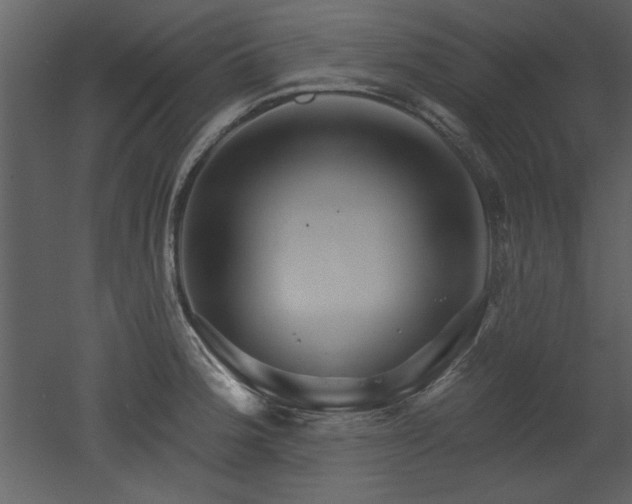 X0000052981188200507081114