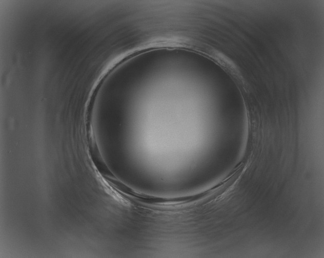 X0000052981192200507081114