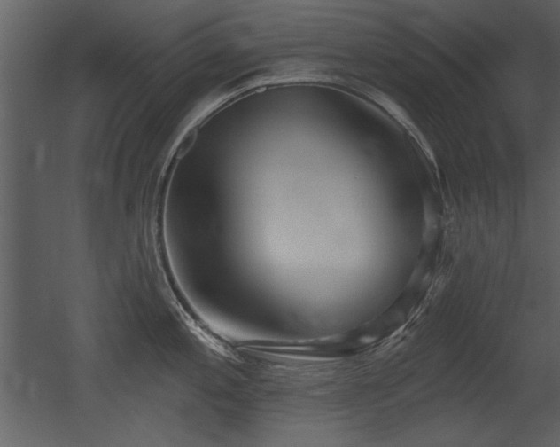 X0000052981197200507081114