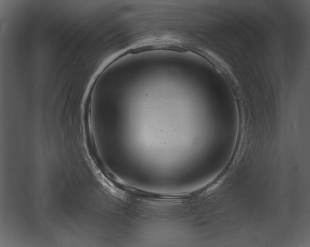 X0000052981200200507081114