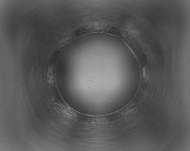 X0000052981203200507081113