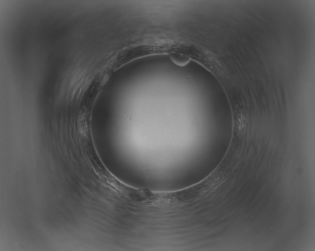 X0000052981204200507081114
