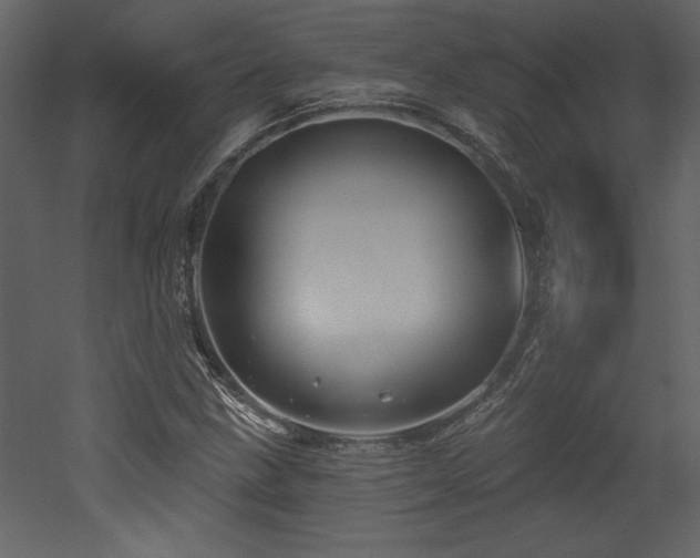 X0000052981211200507081114