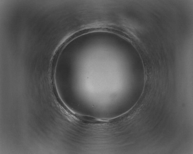 X0000052981216200507081114