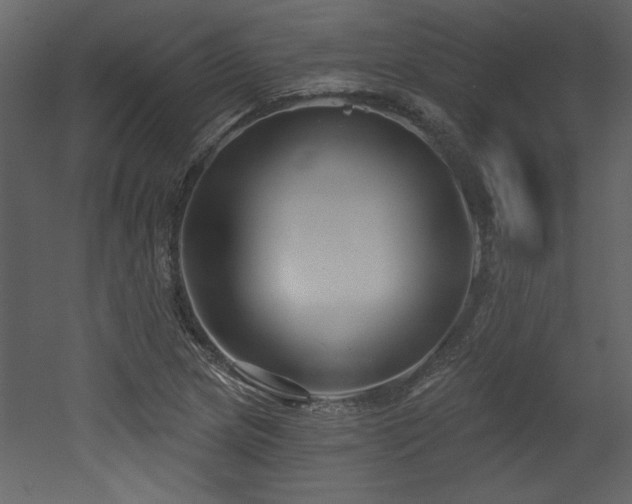 X0000052981217200507081114