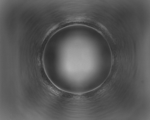X0000052981218200507081114