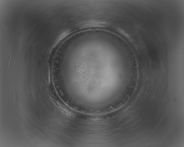 X0000052981219200507081114