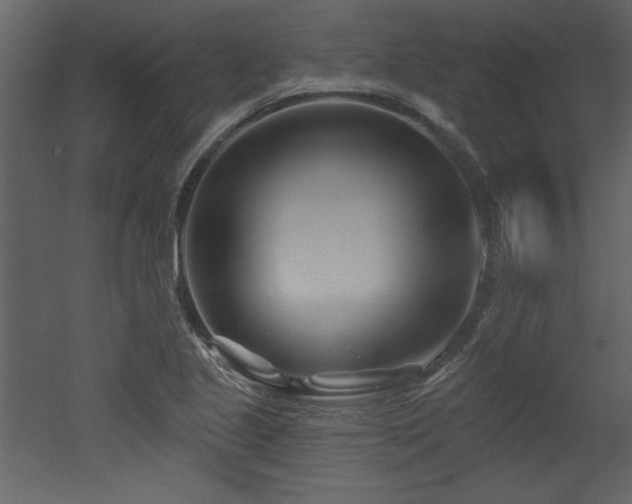 X0000052981221200507081114