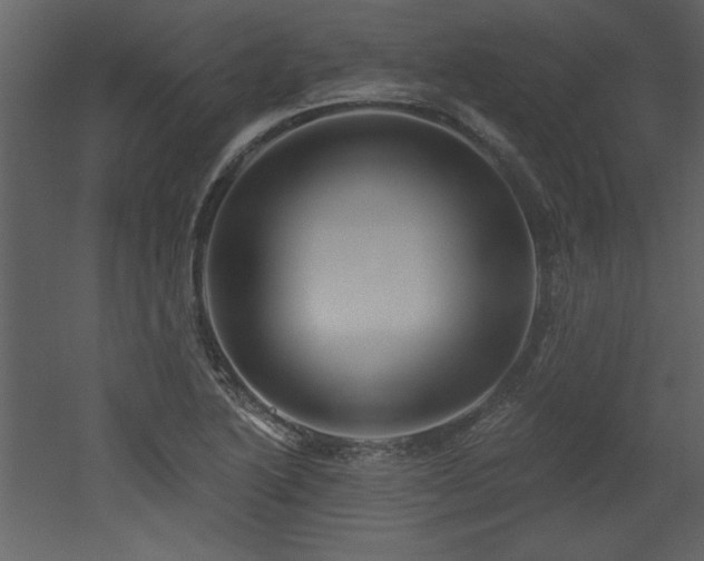 X0000052981222200507081114