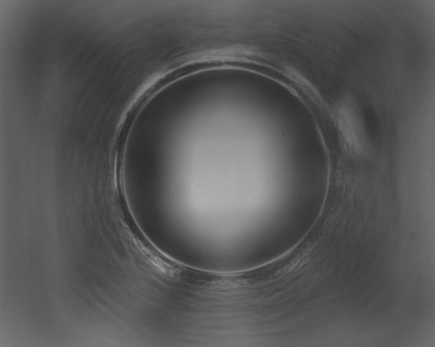X0000052981224200507081114