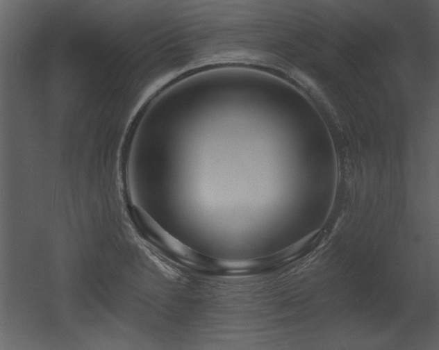 X0000052981230200507081114