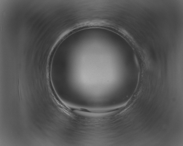 X0000052981232200507081114