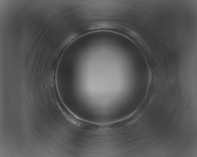 X0000052981233200507081114