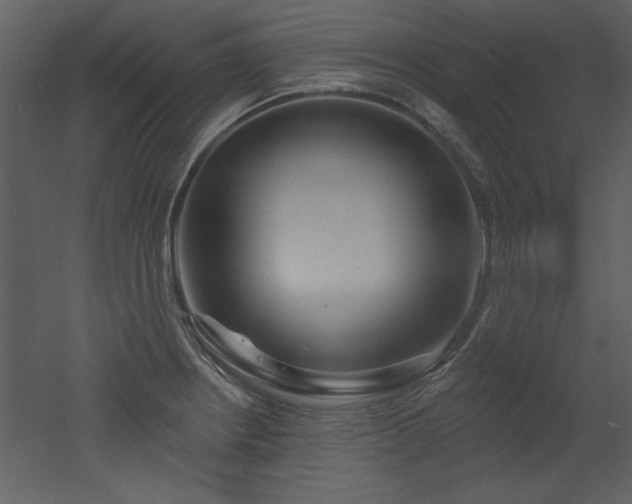 X0000052981234200507081114