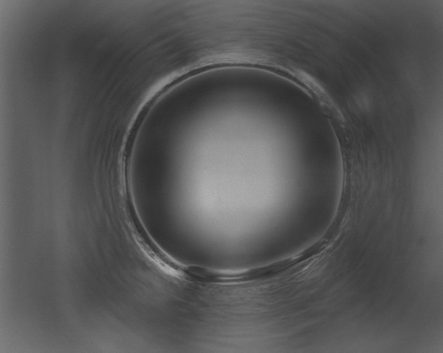 X0000052981238200507081114