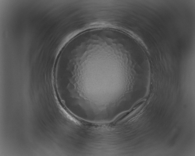 X0000052981239200507081114