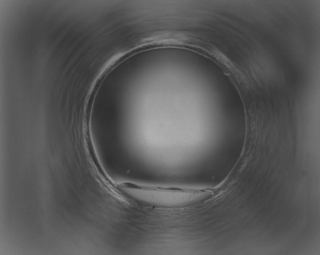 X0000052981240200507081114
