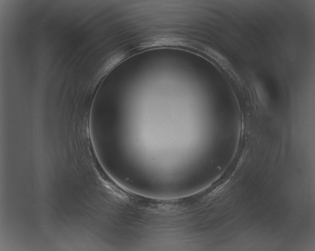 X0000052981241200507081114