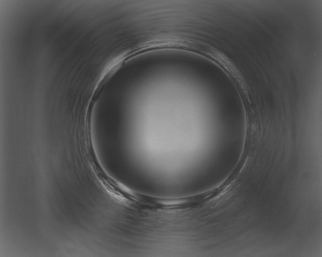 X0000052981242200507081114