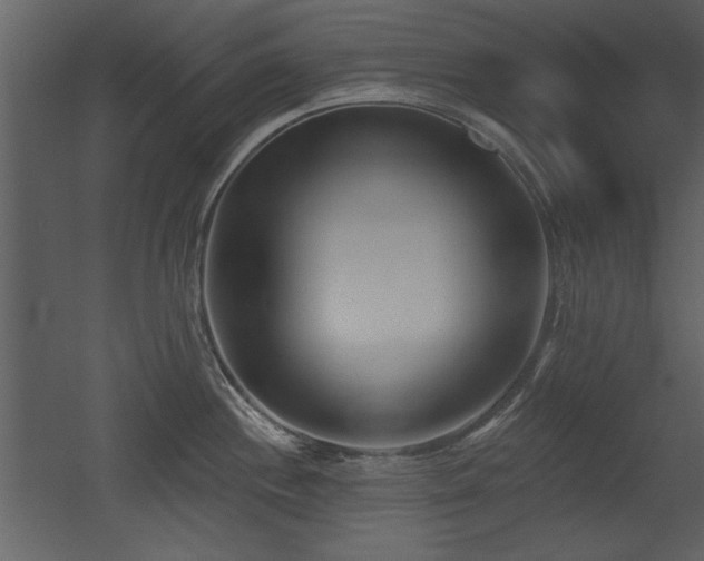 X0000052981244200507081114