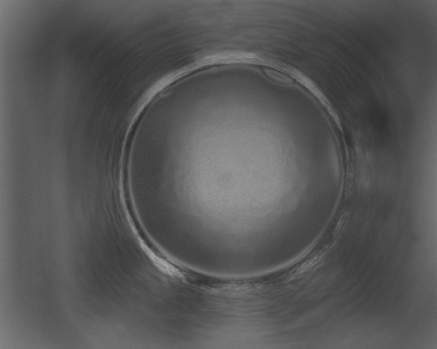 X0000052981245200507081114